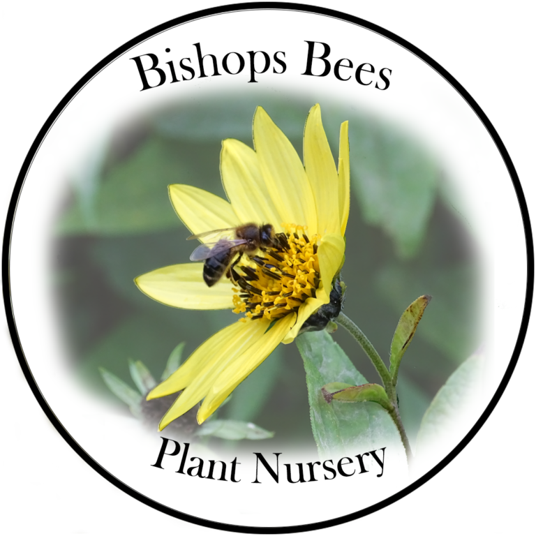 plant-nursery-bishops-bees