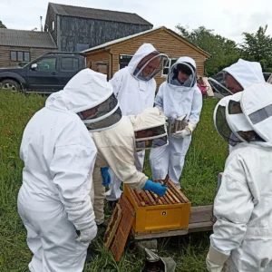 Practical Beekeeping - The Basics