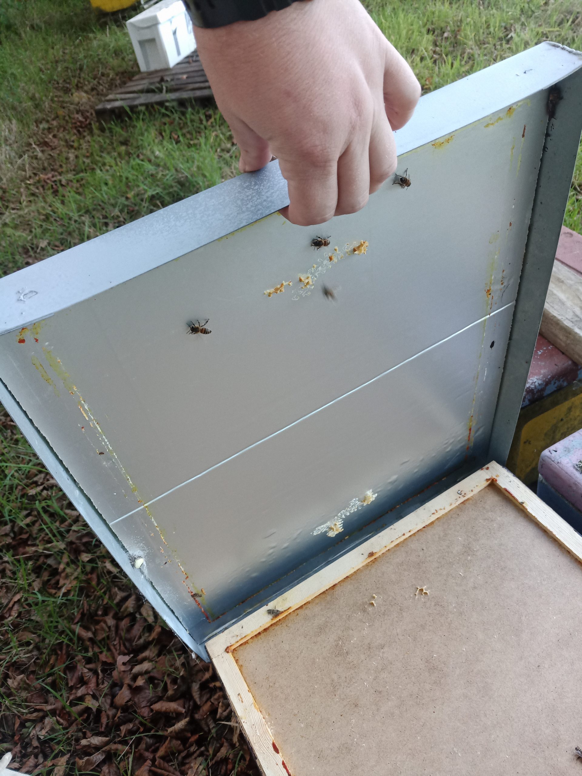 Insulation and Beehives Bees