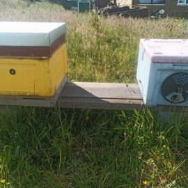Insulation and Beehives