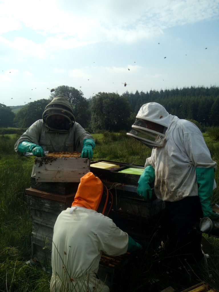 Beekeepers Working on a Hive