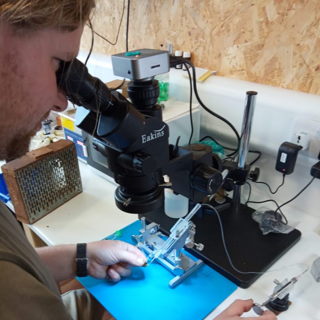 Instrumental Insemination Set Up with Trinocular Microscope used for queen breeding for high quality honeybee queens