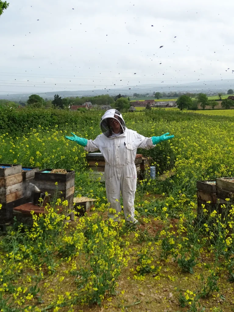 Beekeeping Courses