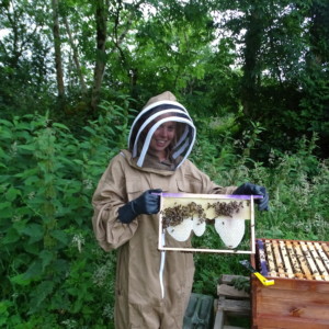 Enjoy a beekeeping experience at Bishops Bees in North Devon