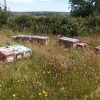 Managing hive practical beekeeping course for beekeepers.