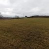 3 Acre, sloped field topped in the Spring to promote healthy growth and condition the ground.
