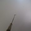 Leur Slip Ventral Hook