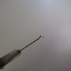 Leur Slip Ventral Hook
